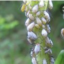 번성농장 이미지