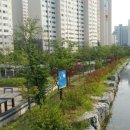 급행역공인중개사사무소 이미지