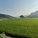 관성3리 이미지