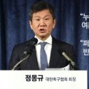 정몽규 : 퍼거슨이 와도 반대여론 반이나 될 것이다. 이미지