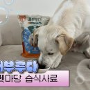 부루펫 이미지