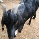 승희농장 이미지