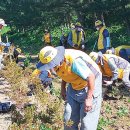 위촌1리 이미지