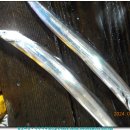 물쌍거리 이미지