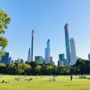 카페소동 이미지