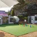 위드펫 빌리지 이미지