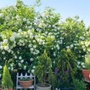 나들정원 이미지