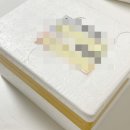 뽀끼 매니아 이미지