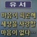 케키도리 이미지