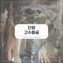 단양 어린이집 | 단양 고수동굴, 입장료 소요시간 아이랑 다녀온 후기