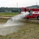 생명의 소리 이미지