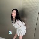 고은에코