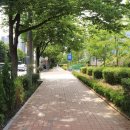 봉오대로 이미지