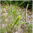 대청호오백리길 찬샘마을길 이미지