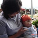 감천할머니 이미지