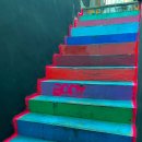 핏투윈짐 이미지