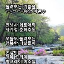 하얀기쁨 이미지
