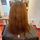 선단동 627-1 농로 | [#주간일기 챌린지]미니미의 일상 6-2