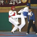 강진태권도체육관 티스토리