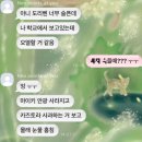 내 마지막 피난처