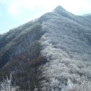 12월20일(일요당일)남덕유산/장수덕유산 눈꽃산행 이미지