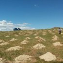 비타민 숲 이미지