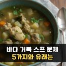 거북펜션 | 바다거북스프 문제와 유래 어려운 거 5가지