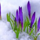 햇살좋은창 이미지