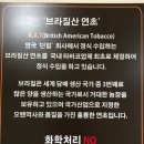 롤로타바코 이미지