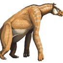 마이수퍼 이미지