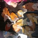 백상어린이집 이미지