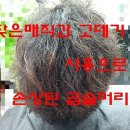 곱슬머리 Daum카페