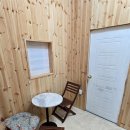 나무애견유치원 이미지