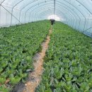 환영농장 이미지