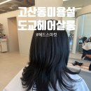 도교헤어살롱