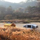 상보안 이미지