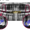 365플러스치과의원 이미지