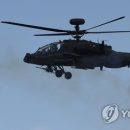 아파치 이미지