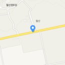 산동면 월산마을 이미지