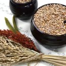 파로(FARRO)