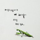 인복 이미지