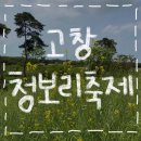 청보리 농장 | [고창 청보리축제] 2024 전북 고창 ‘청보리밭 축제’ / 학원농장 청보리축제 후기