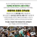 고안사슴농장 이미지