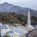 수진사 이미지