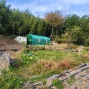 대지부동산중개사무소 이미지