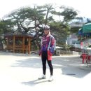 인라인장 이미지