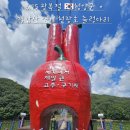 8.15 광복절 칠갑산 연계 천장호 출렁다리를 다녀오다.