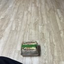 카페 파스쿠찌 주말 미들 알바 후기