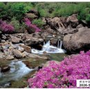 삼육목장 이미지