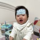 웰키즈아동병원 | 대구 동구) 신서동 각산역근처 웰키즈아동병원 9개월아기 코로나 대처법